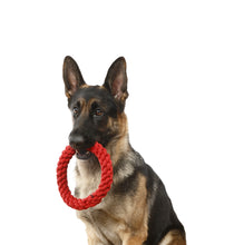Load image into Gallery viewer, RompiDogz Tug N' Toss Rope - Red (NEW VERSION COMING THIS SUMMER)
