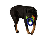 Load image into Gallery viewer, Rompidogz Tug N' Toss Rope - Green