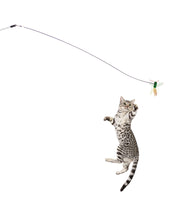 Load image into Gallery viewer, Rompicatz - Flying Bug Play Pack!