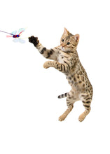 Load image into Gallery viewer, Cattimoth Attachment!