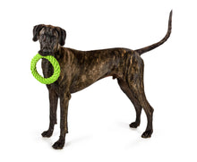 Load image into Gallery viewer, RompiDogz Tug N' Toss Rope - Green (NEW VERSION COMING THIS SUMMER)