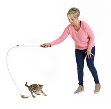 Load image into Gallery viewer, Wily Mouse Attachment!