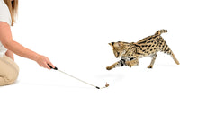 Load image into Gallery viewer, Adjustable String Wand Toy - Bug