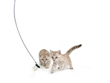 Load image into Gallery viewer, Rompicatz - Supreme Critter Collector Series Play Pack!