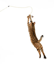 Load image into Gallery viewer, Adjustable String Wand Toy - Mouse