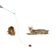Load image into Gallery viewer, Adjustable String Wand Toy - Mouse