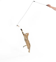 Load image into Gallery viewer, Cattikets Attachment!