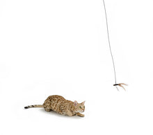 Load image into Gallery viewer, Rompicatz - Crawling Bug Play Pack!