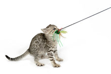 Load image into Gallery viewer, BugzBird Attachment!