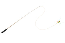 Load image into Gallery viewer, CrittrBugz Starter Set!