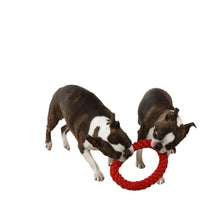 Load image into Gallery viewer, RompiDogz Small Tug N&#39; Toss Ropes - Li&#39;L Dogz 2 pack!
