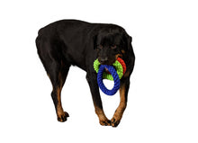 Load image into Gallery viewer, large dog carrying 3 ropes in mouth