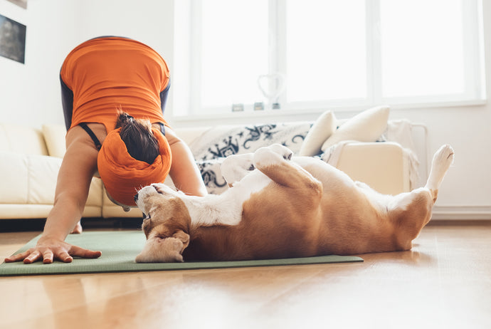7 Fun Ways to Get Fit With Your Dog