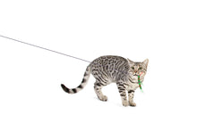 Load image into Gallery viewer, Cattipeed Attachment - wiggly centipede!
