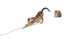 Load image into Gallery viewer, Cattipeed Attachment - wiggly centipede!
