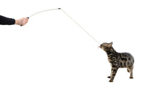 Load image into Gallery viewer, Adjustable String Wand Toy - Bug
