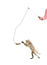 Load image into Gallery viewer, Wily Mouse Attachment!
