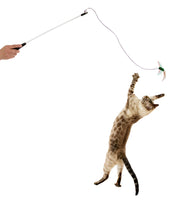 Load image into Gallery viewer, BugzBird Attachment!
