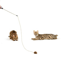 Load image into Gallery viewer, Adjustable String Wand Toy - Mouse

