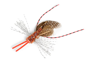 Crickett   (ARRIVING  MAY)