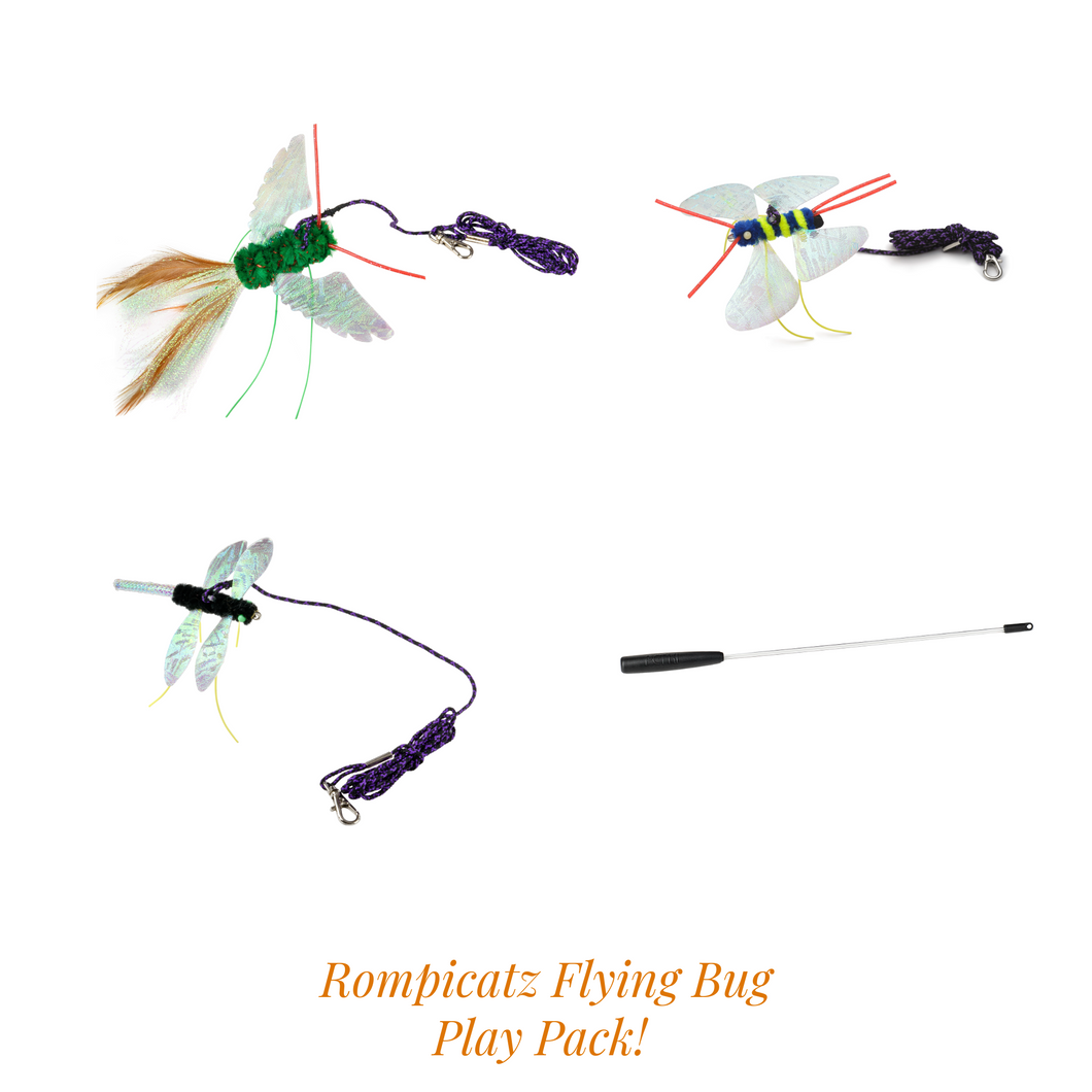 Rompicatz - Flying Bug Play Pack!