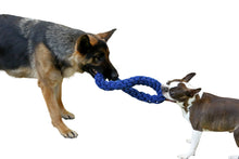 Load image into Gallery viewer, big and small dog playing tg with rope
