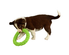 Load image into Gallery viewer, RompiDogz Tug N&#39; Toss Rope - Green
