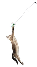 Load image into Gallery viewer, cat jumping to catch bugzbird toy
