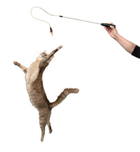 Load image into Gallery viewer, Cattikets Attachment - sleek bug!
