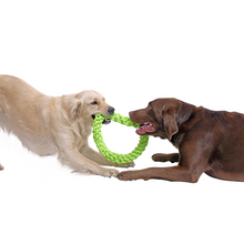Load image into Gallery viewer, two large dogs playing tug with rope
